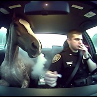 ANYWAY (feat. ThatBoyFrizzy) - Single - entity!