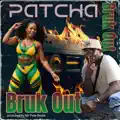 BRUK OUT