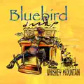 Bluebird