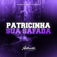 Patricinha Sua Safada (feat. Mc 7Belo) - Single - Dj Robin 017 & DJ 2G da ZN