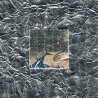 Tracers - Single - Prolly & isms