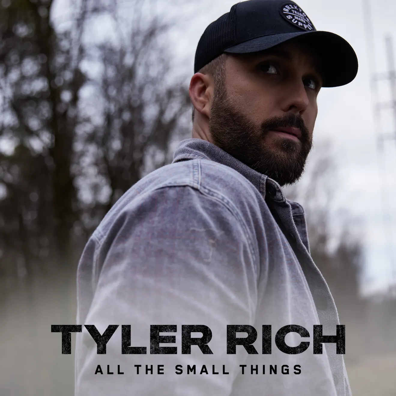 Tyler Rich – All The Small Things – Single (2024) [iTunes Match M4A]