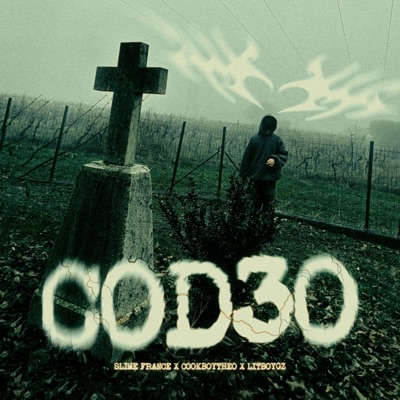 COD30 (feat. Cookboytheo & Litboygz) - Single