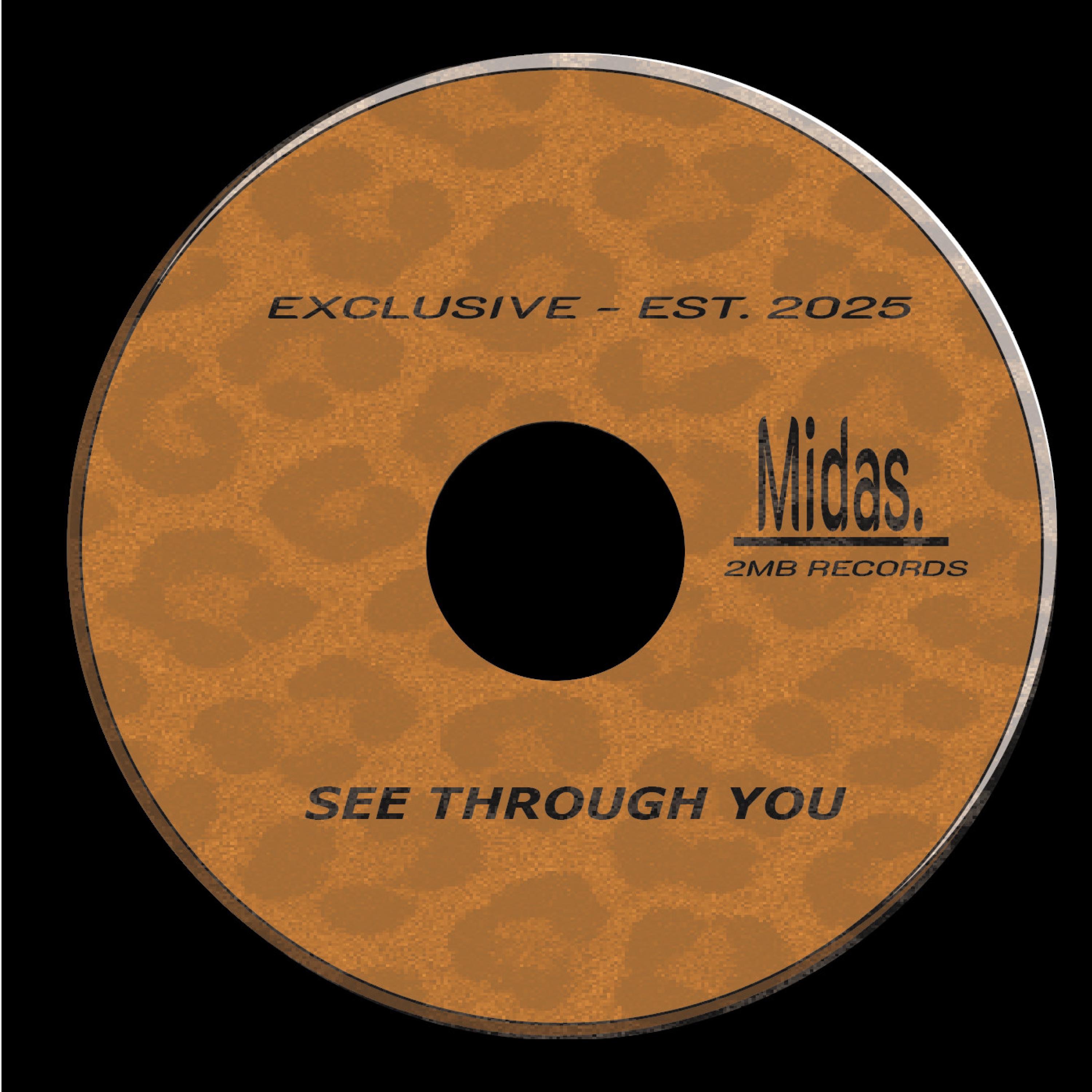 See Through You - Single