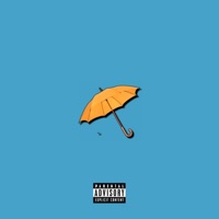 Rainy Dayz (feat. Aaqil Ali & Be_Daylight) - Single - Vocero Omar