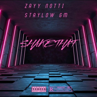 Shake That (feat. Staylow Gm) - Single