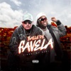 Baile de Favela - Single