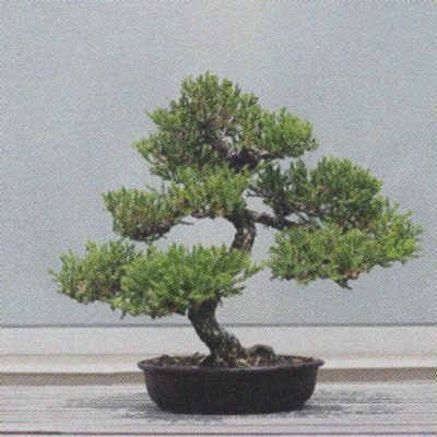 TIME (feat. slayn stacy & 2014character) - Single