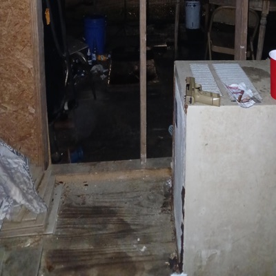 Loyalty & Business 2