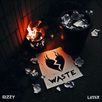 Waste - Single - D!ZZY & Limix