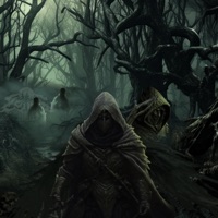 Fate and Fare - Echo from the Void