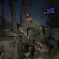 En las calles (feat. 4Twnty) - Single - Bala fc