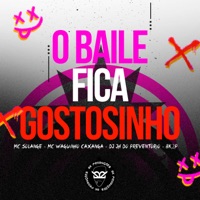 O Baile Fica Gostosinho - Single - MC SOLANGE, DJ JH DO PREVENTÓRIO, Mc Waguinho Caxangá & BK2P