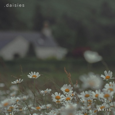 .daisies - Single