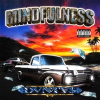 MINDFULNESS - Single - DVNTV$
