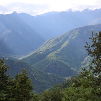 Om Tare (feat. Ben Leinbach) - Single - Amir Paiss