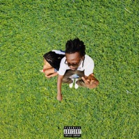 Yes or No - Single - Sean Lifer