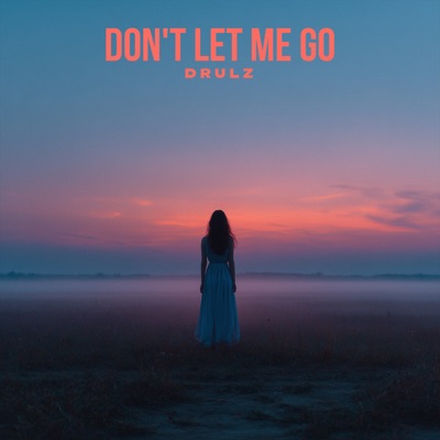 Don't Let Me Go - Single