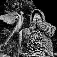 20 Calls - Single - Lonely Playboy