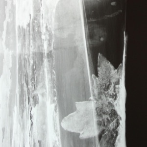 Suspects - Single