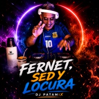 Fernet y Locura (feat. The Rengo) - Single - DJ Patamix
