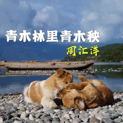 周汇洋 - 青木林里青木秧 (原版) [原版]