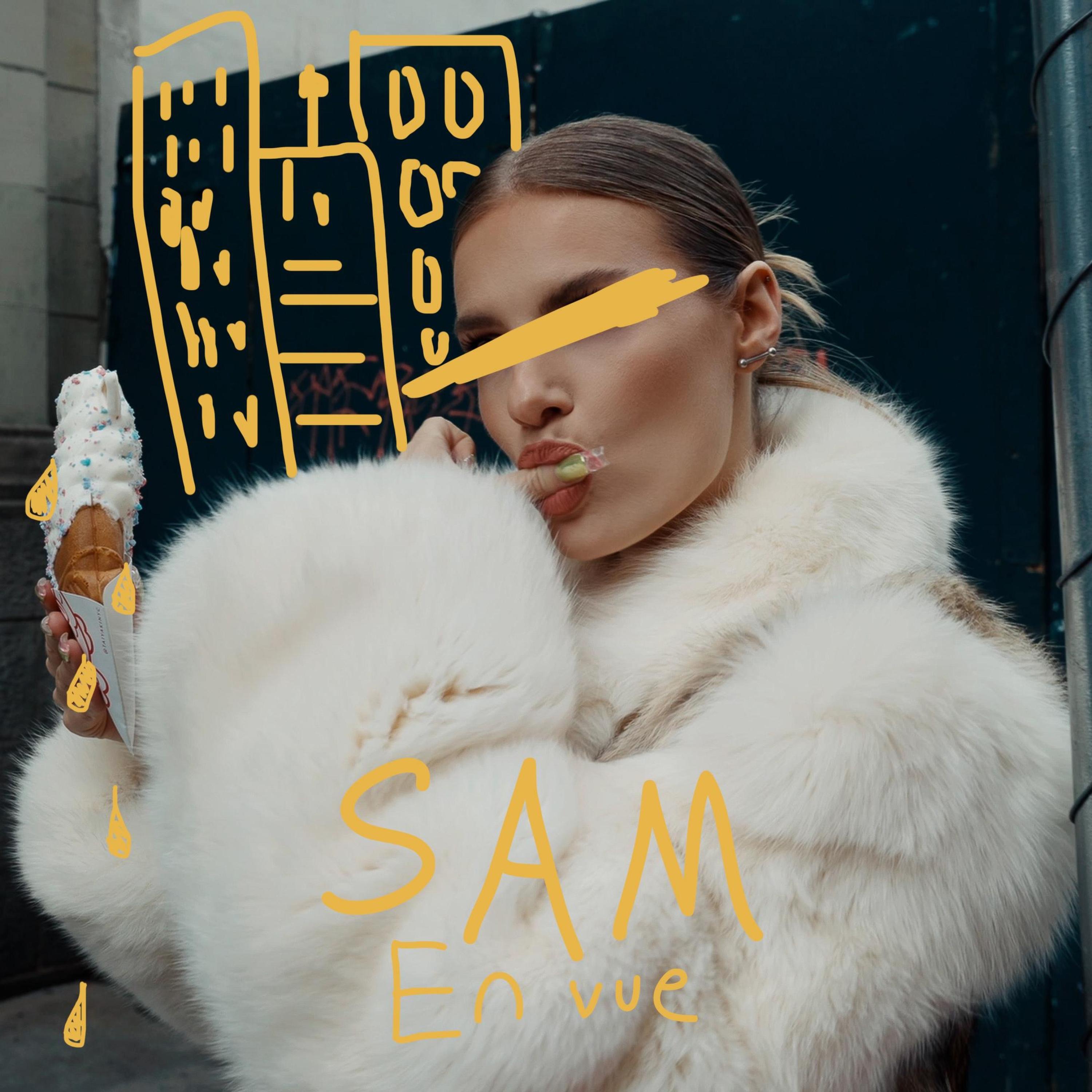 SAM - En Vue