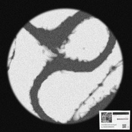 HOME RUN! MADEONMARS