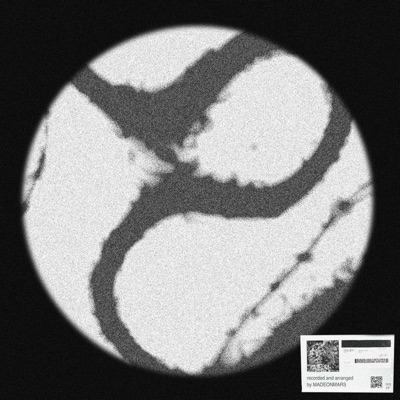 HOME RUN! - Single