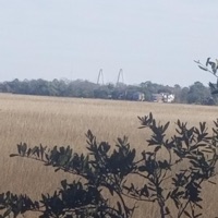 LowCo BBQ: July - EP - Eyezc Haze