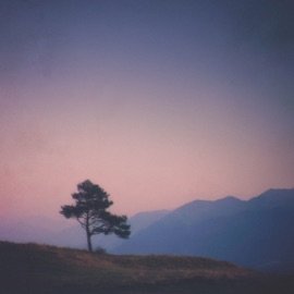 Summer State KNOW, BAIKVL & DXRKCVLT