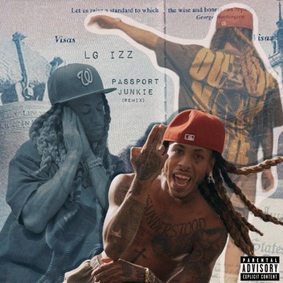 Passport Junkie - Single