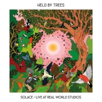 Solace (Live at Real World Studios) - Held By Trees