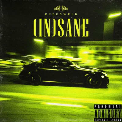 (IN)SANE - Single