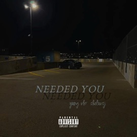 Needed You (feat. sheluvsj) yung vlo
