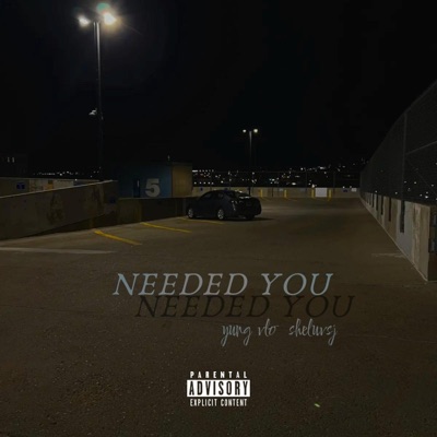 Needed You (feat. sheluvsj) - Single