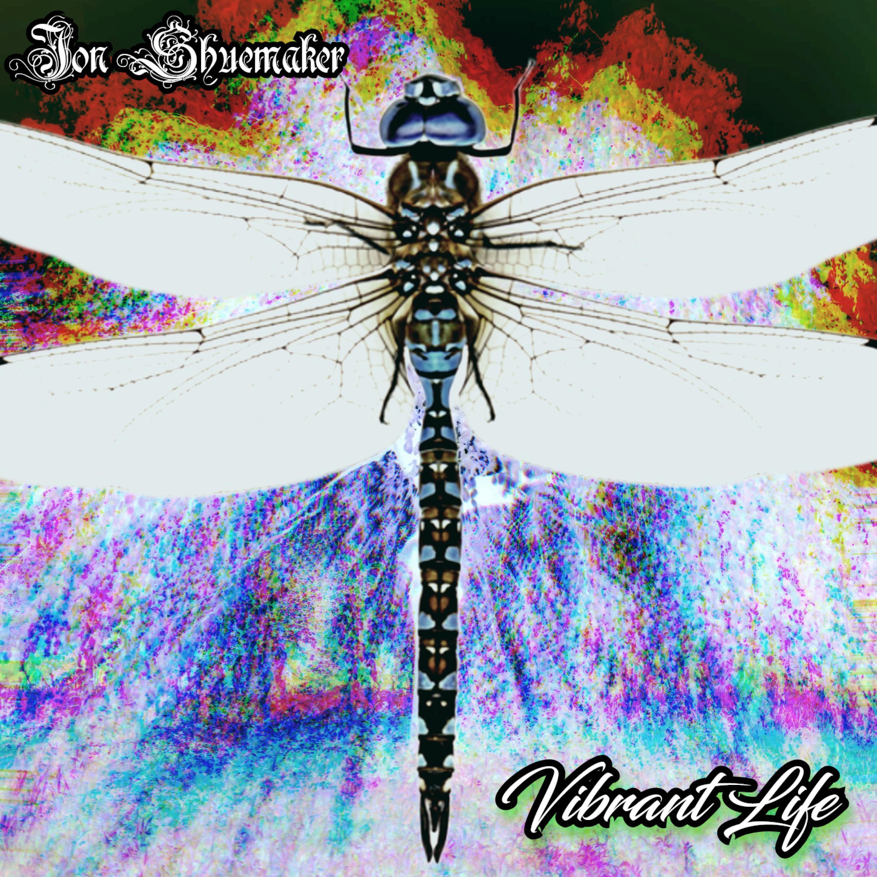 JON SHUEMAKER - THERE'S SOMETHING IN THE HILLS