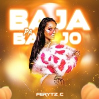 Baja pa' Bajo - Single - Ferytz C