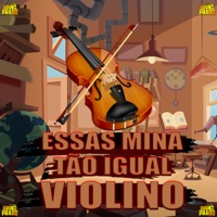 Essas Mina Tão Igual Violino ( Passinho do Magrão ) - Single - DJ BRUNO PRADO, Mc Rd & MC FERNANDINHO FN