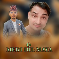 O Meri Dil Maya (feat. Deepak Dhungana) - Single - Rajendra Bajgai