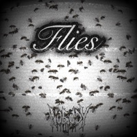 FLIES - Single - N0B0DY