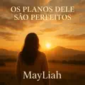 Os Planos Dele São Perfeitos