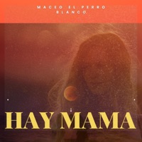 hay mamá - Single - Maceo El Perro Blanco
