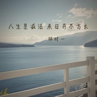 人生是减法 来日并不方长 - Single - 林时一