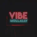 Vibe