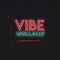 Vibe