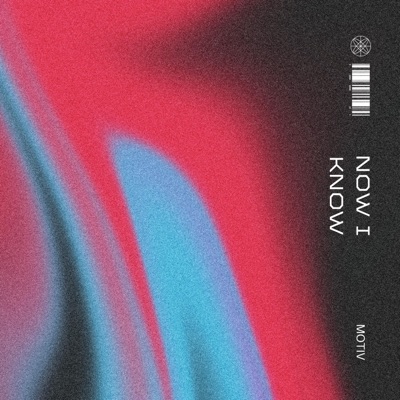 Now I Know - Single