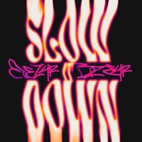 Slow It Down - Single - Bize 4r & ENEZ 4R