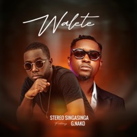 Walete (feat. G. Nako) - Single - Stereo Singasinga