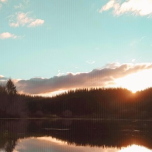 Longing For Summer - Single